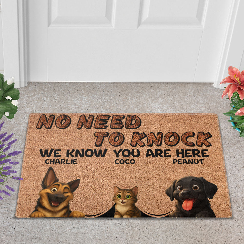 Personalized Pets Doormat - Up to 6 Pets - Decorative Mat - Custom Doormat V2