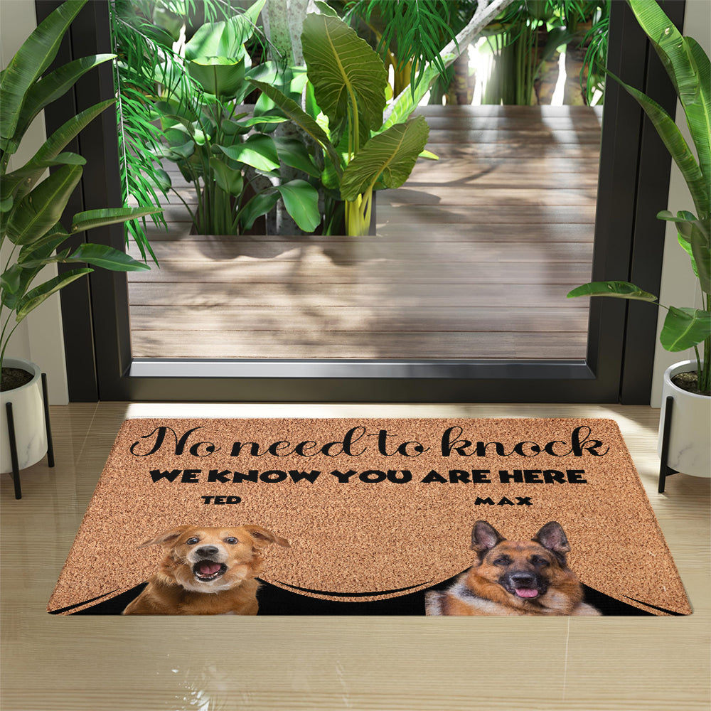 Personalized Pets Doormat - Up to 6 Pets
- Decorative Mat - Upload Photo