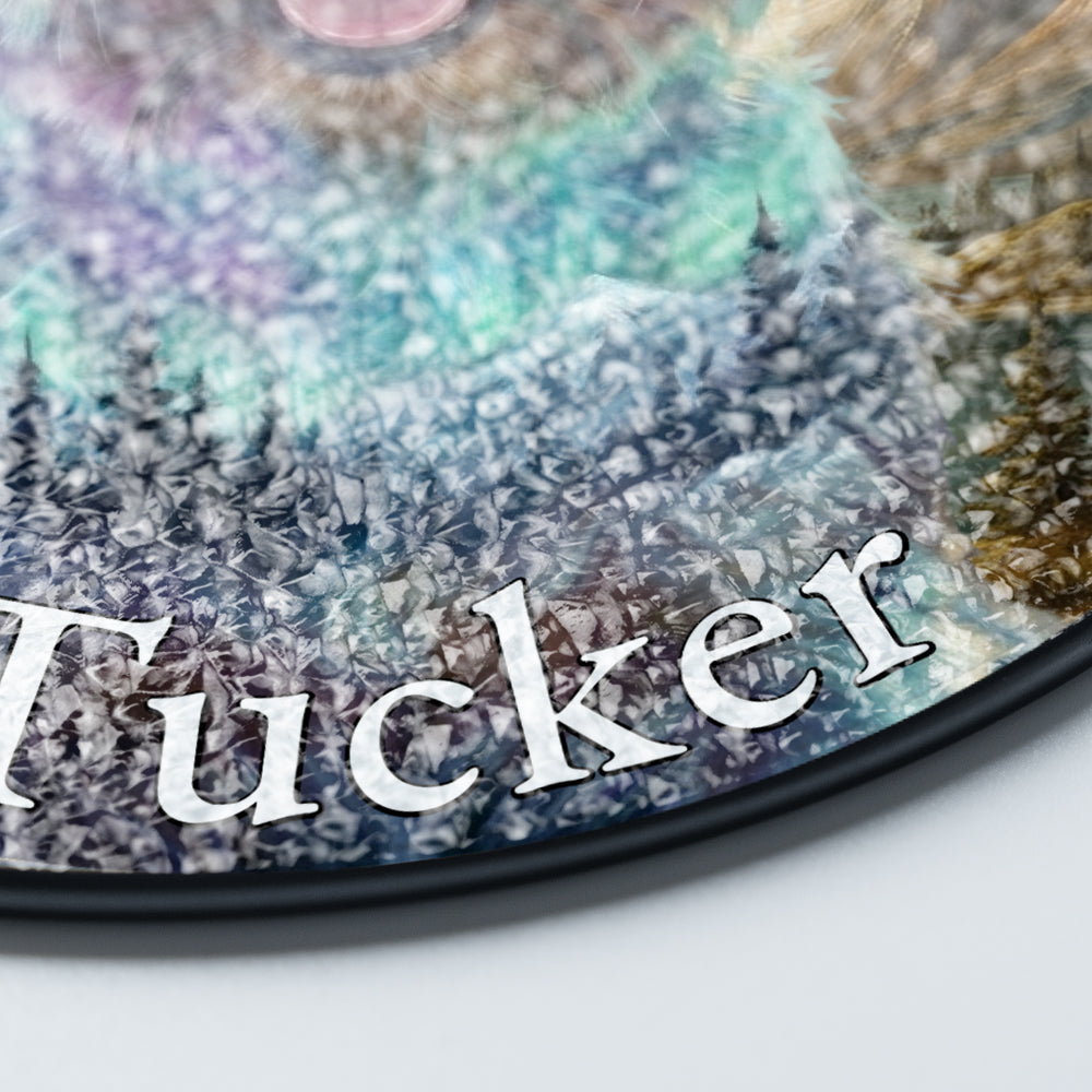 Personalized Aurora Pet Portrait Stained Glass Ornament