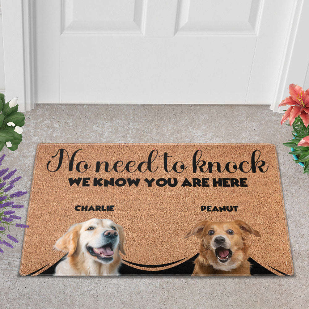 Personalized Pets Doormat - Up to 6 Pets 
- Decorative Mat - Upload Photo