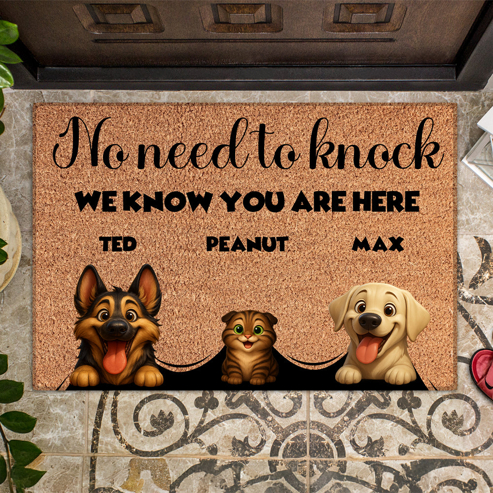 Personalized Pets Doormat - Up to 6 Pets - Decorative Mat - Custom Doormat