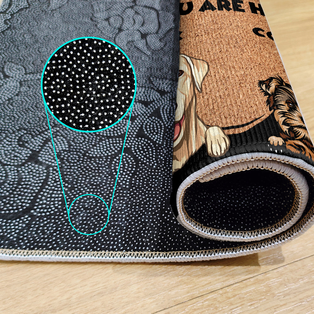 Paillasson personnalisé pour chiens - Jusqu'à 6 animaux - Tapis décoratif - Paillasson personnalisé 