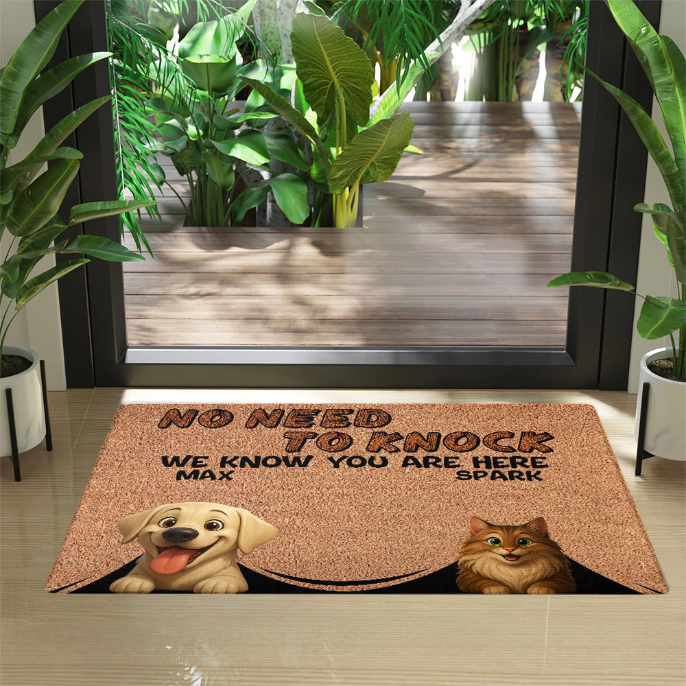 Personalized Pets Doormat - Up to 6 Pets - Decorative Mat - Custom Doormat V2