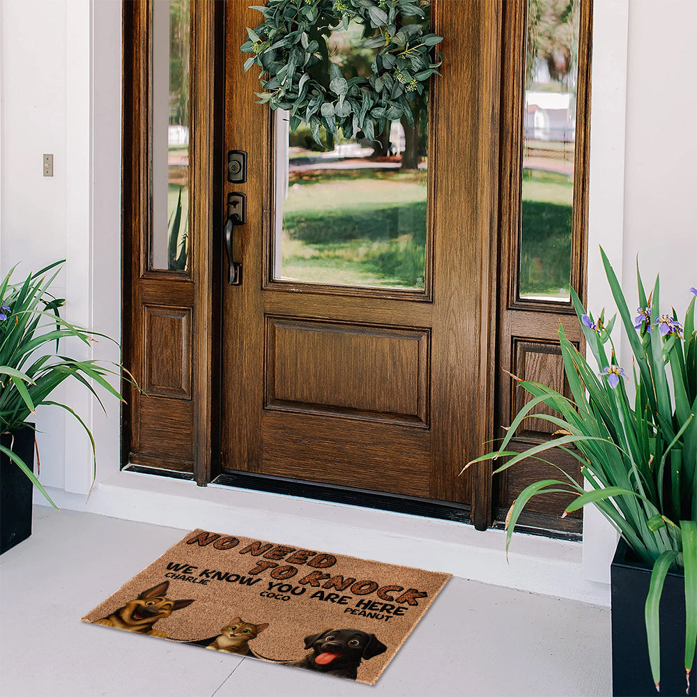 Personalized Pets Doormat - Up to 6 Pets - Decorative Mat - Custom Doormat V2