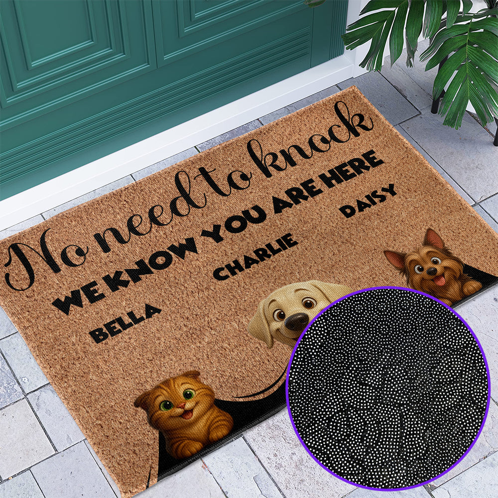 Personalized Pets Doormat - Up to 6 Pets - Decorative Mat - Custom Doormat