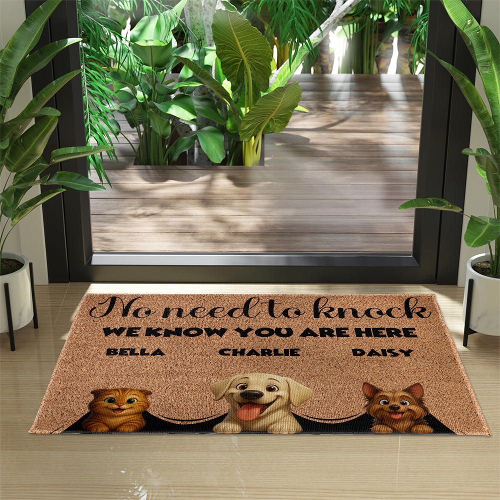 Personalized Pets Doormat - Up to 6 Pets - Decorative Mat - Custom Doormat