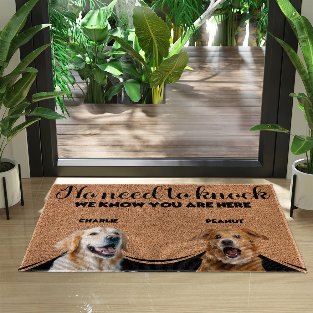 Personalized Pets Doormat - Up to 6 Pets 
- Decorative Mat - Upload Photo