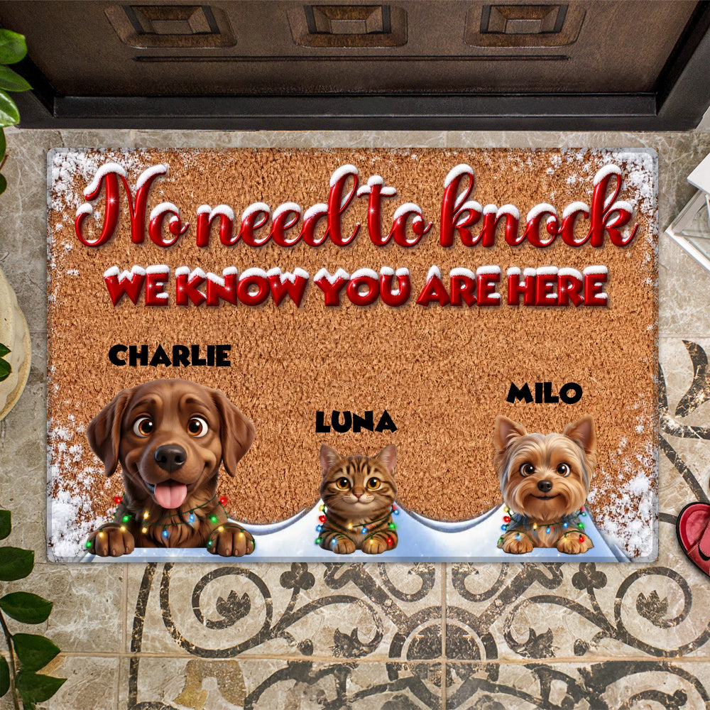 Personalized Pet Doormat – Snowy Christmas Lights – photo 2