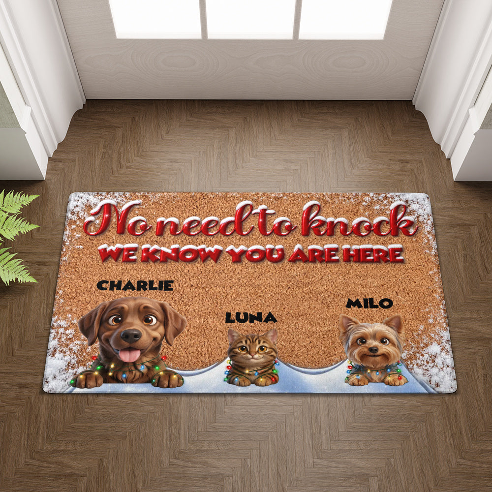 Personalized Pet Doormat – Snowy Christmas Lights – photo 3
