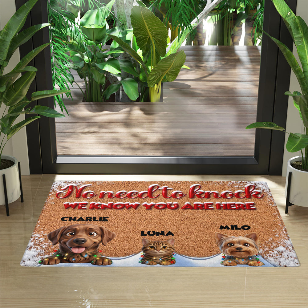 Personalized Pet Doormat – Snowy Christmas Lights – photo 4