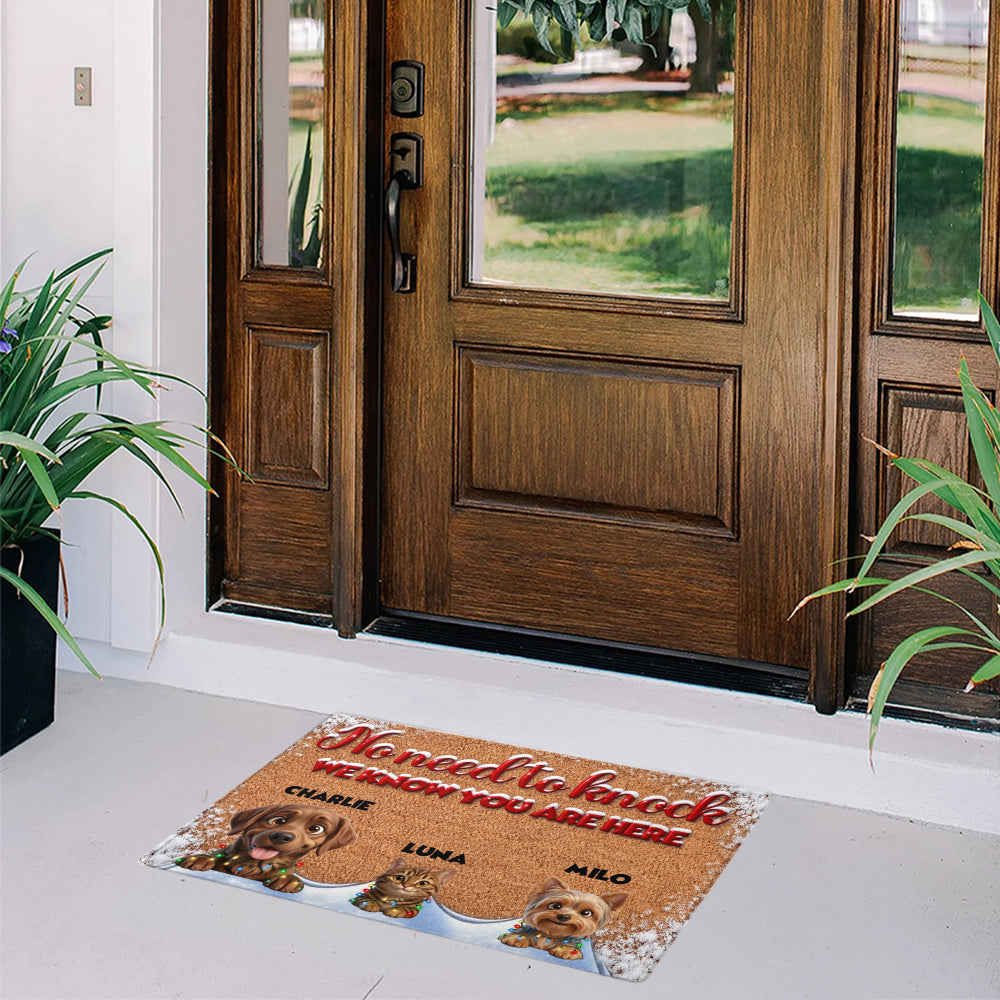 Personalized Pet Doormat – Snowy Christmas Lights – photo 5