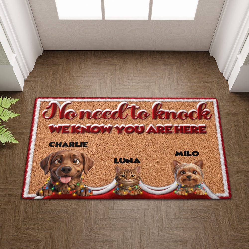 Personalized Pet Doormat – Christmas Lights Trio – photo 3