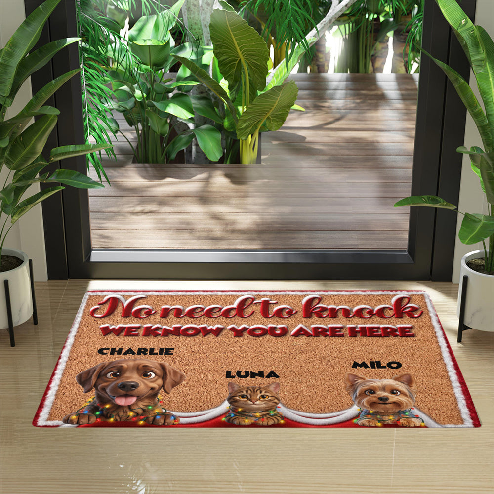 Personalized Pet Doormat – Christmas Lights Trio – photo 4