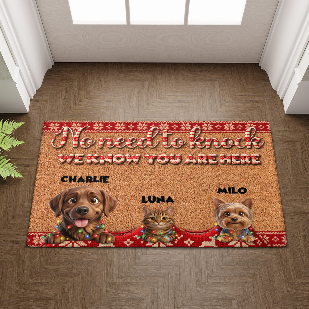 Personalized Pet Doormat – Christmas Lights Knit Border – Foto 3