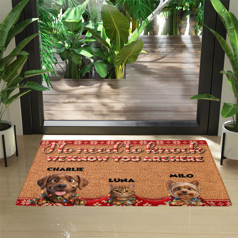 Personalized Pet Doormat – Christmas Lights Knit Border – Foto 4