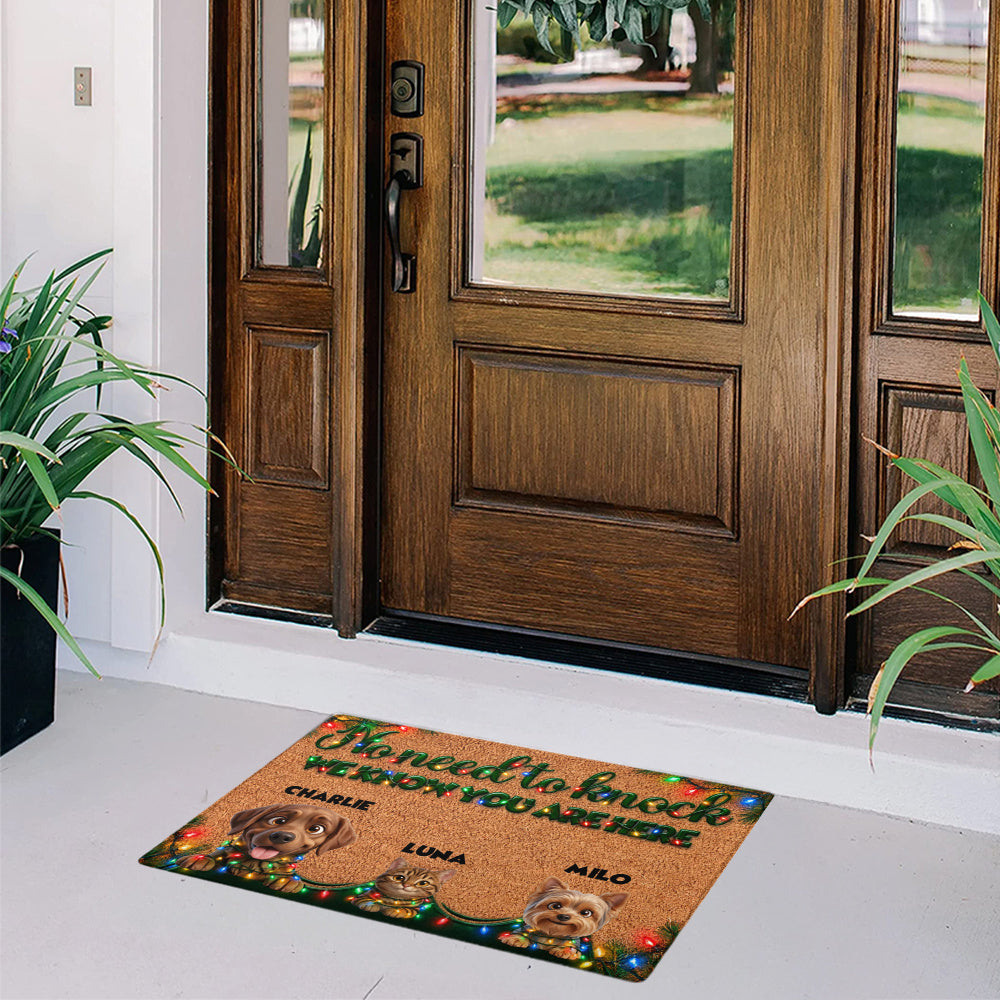 Personalized Pet Doormat – Christmas Lights Dogs and Cat – photo 5