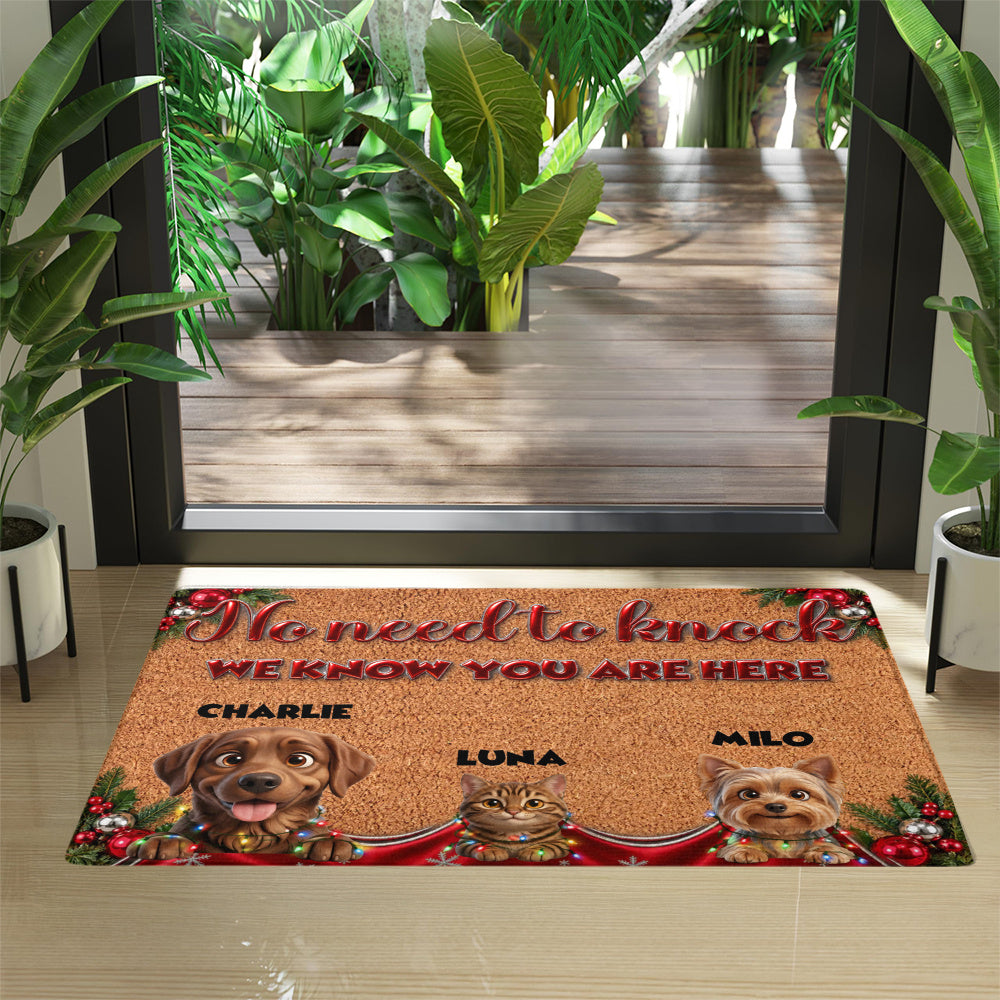 Personalized Pet Doormat – Christmas Lights and Baubles – photo 4
